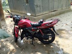 Zaara 100